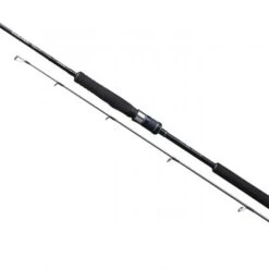 Shimano 20GAME TYPE J 1.83m 250g 1+1pc