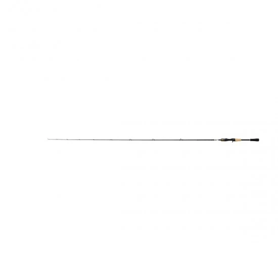 Shimano Sustain Mod-Fast Cork 2,42m 3-14g 2St