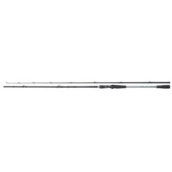 Shimano Rute Yasei AX Pike Casting 2,50m 40-120g