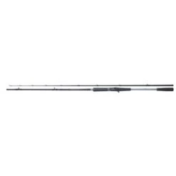 Shimano Rute Yasei AX Pike Casting 2.60m 120-270g